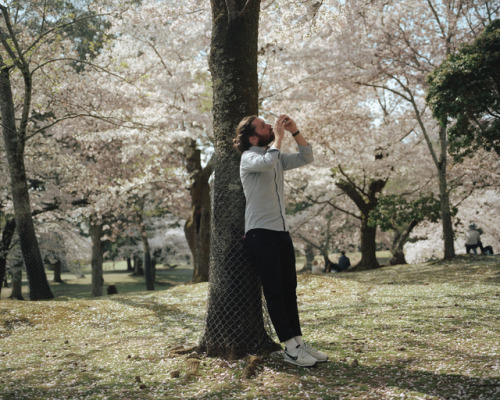 Nara Park,April 2017