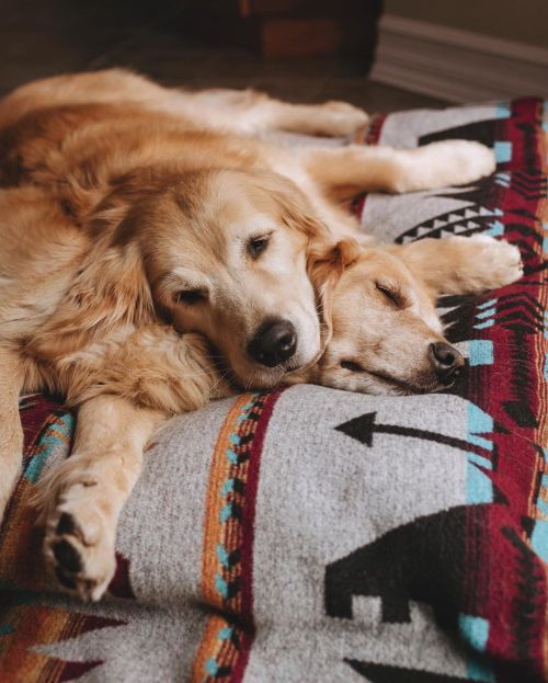 delta-breezes:Lizzie &amp; Ally | @lizzie.bear