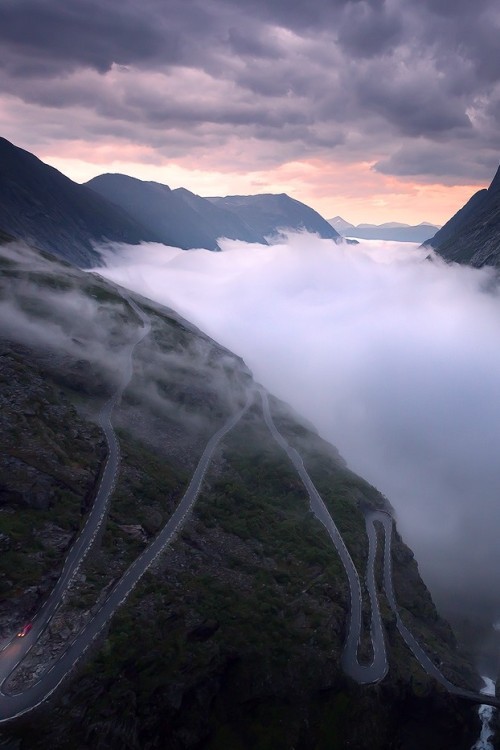 porcvpine:  by: (Sean Ensch) 