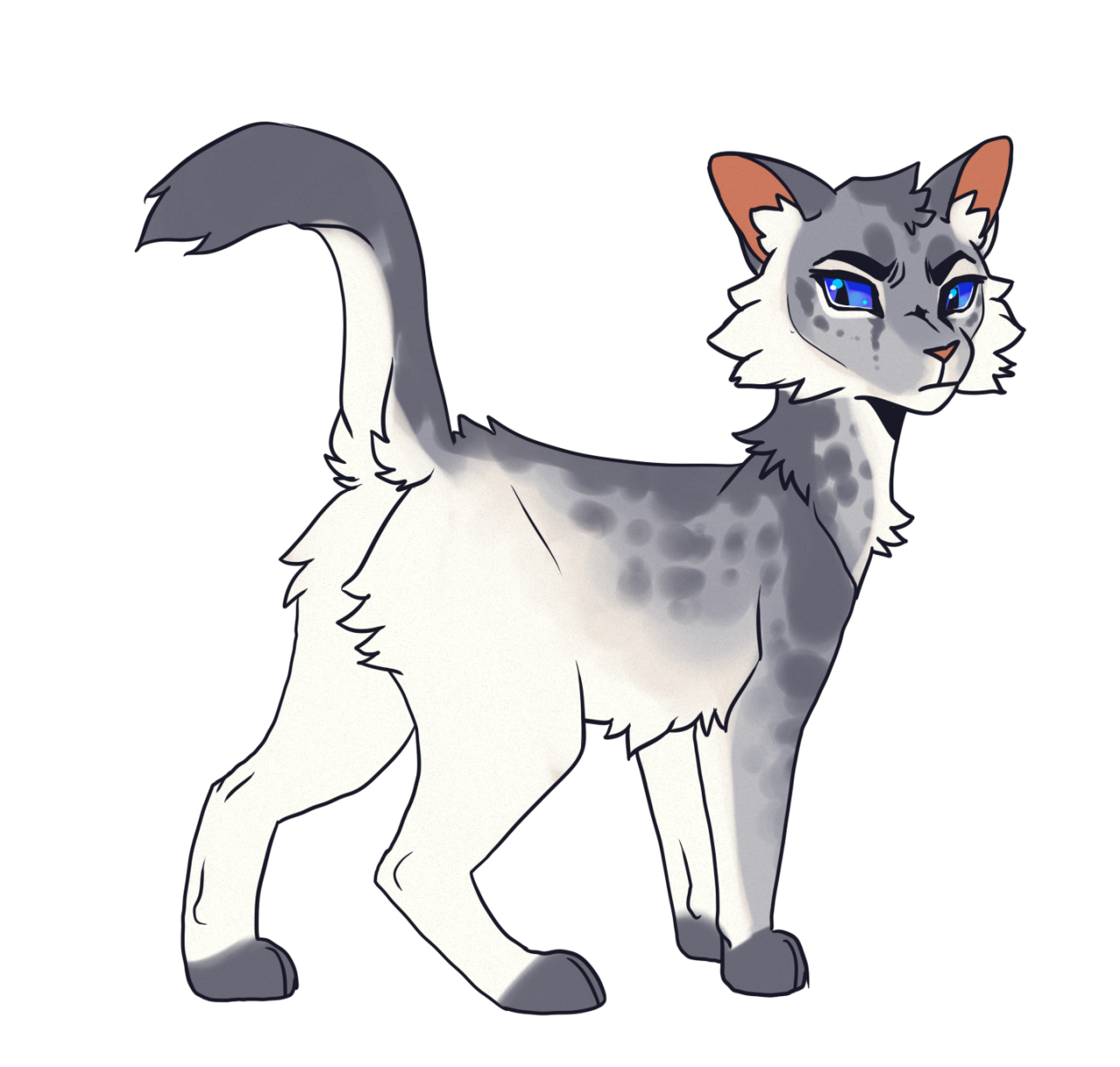 Ashfur  Warrior Cats Design by Hikari-Hisudo on DeviantArt