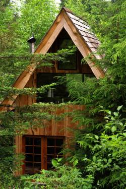 utwo:  Japanese Forest House© Brian Schulz