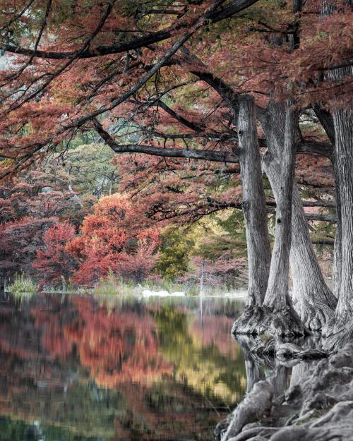 oneshotolive:  Autumn in Garner State Park Texas [OC] [3015x3769] IG @travlonghorns 📷: travlonghorns 