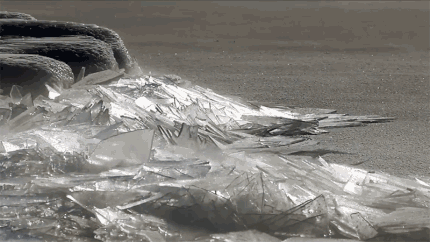 jumpingjacktrash:  archiemcphee:  Today the Department of Awesome Natural Phenomena