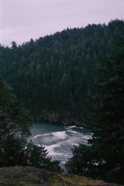 vacants:  (by warmsummernight)