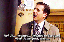 blondebrainpower:  No! Uh …  I wanted to buy some weed. Some grass, weed …