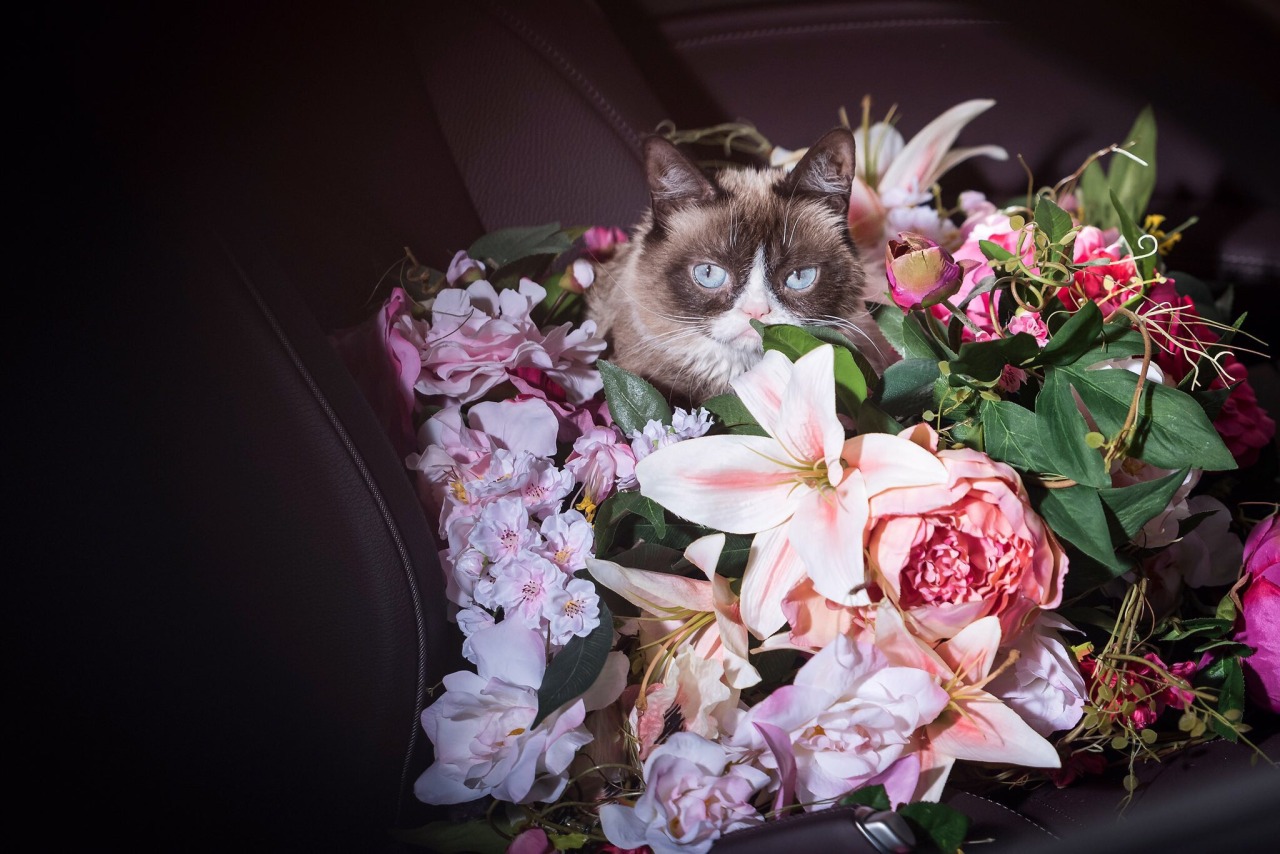 #OpelGoesGrumpy with @ellenvonunwerth @georgiamayjagger @Opel @OpelDE #GrumpyInBerlin