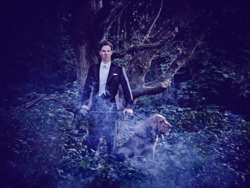 cumberbum: Benedict Cumberbatch Vanity Fair photoshoot outtakes