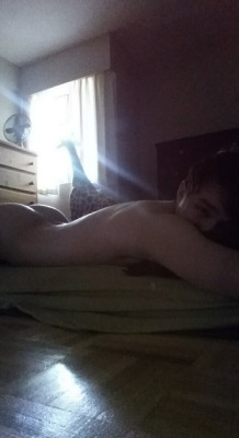 snotferret:  morning sunlight at the new place is pretty darn good for butt silhouetting 