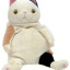 puff-kat