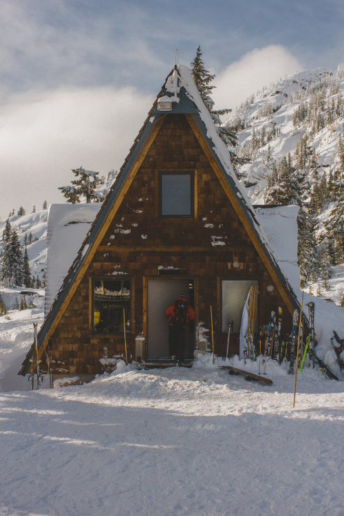 bakerpow: It was a picture perfect opening day at mount baker ski area.