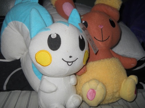 puddingsock:  !!!!!!!WOWEE 123 follower giveaway!!!!!!! Dis be Puddingsock’s 123 follower ultimate super spectacular pokemon giveaway thing. I just wanted to say thanks to every one of my followers for being awesome and well, yeah. uwu onto the cool