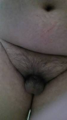 bigthickchubbydick.tumblr.com post 167135418345