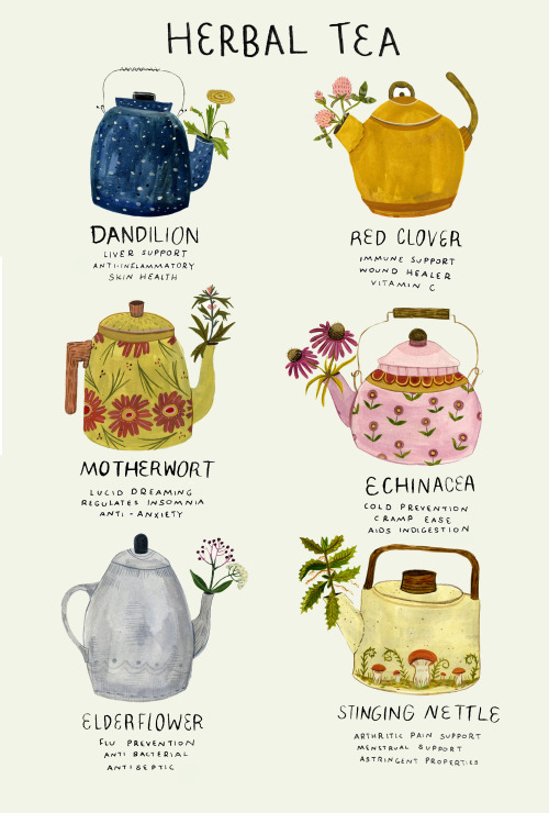 madisonsaferillustration: Ive been a bit under the weather. Here’s a poster about medicinal herbs, m