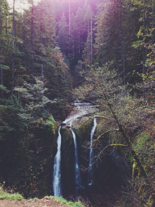 http://cherubesque.tumblr.com/post/88196681118