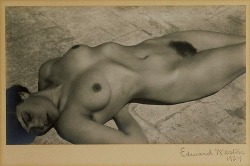 raveneuse:  Edward Weston, Nude, Mexico,