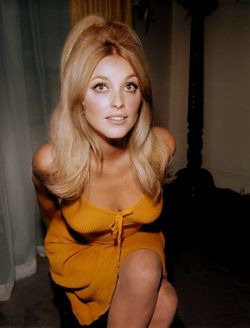 the60sbazaar:Sharon Tate 