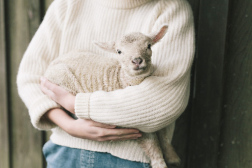 thecreativechristianap:who took this? Its lovely.