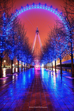 tigertravelguide:London Iris by Romain Matteï