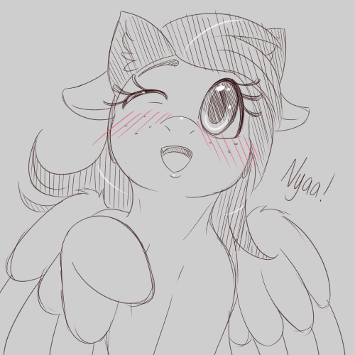 askamberfawn:Stream requests!<3
