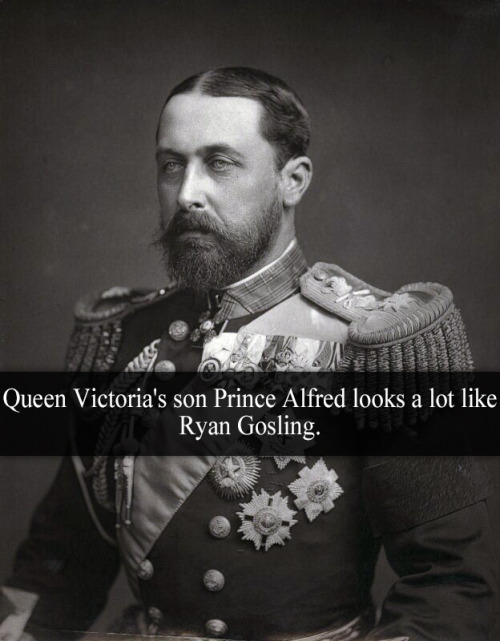 “Queen Victoria&rsquo;s son Prince Alfred looks a lot like Ryan Gosling” - Submitted
