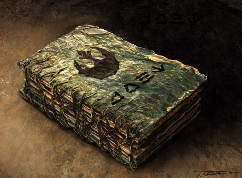 The manuscripts in The Last Jedi have really beautiful bindings. A couple of them appear to be bound