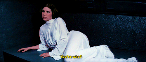 strangeclea:Aren’t you a little short for a stormtrooper?