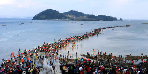 Jindo Miracle Sea Festival Once a year in Jindo in Jeollanam-do Province, the seas mysteriously part