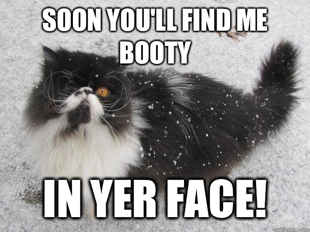 pleatedjeans:  Best of the Pirate Cat Meme (18 Pics)