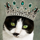 the-cat-with-the-emerald-tiara-1.tumblr.com