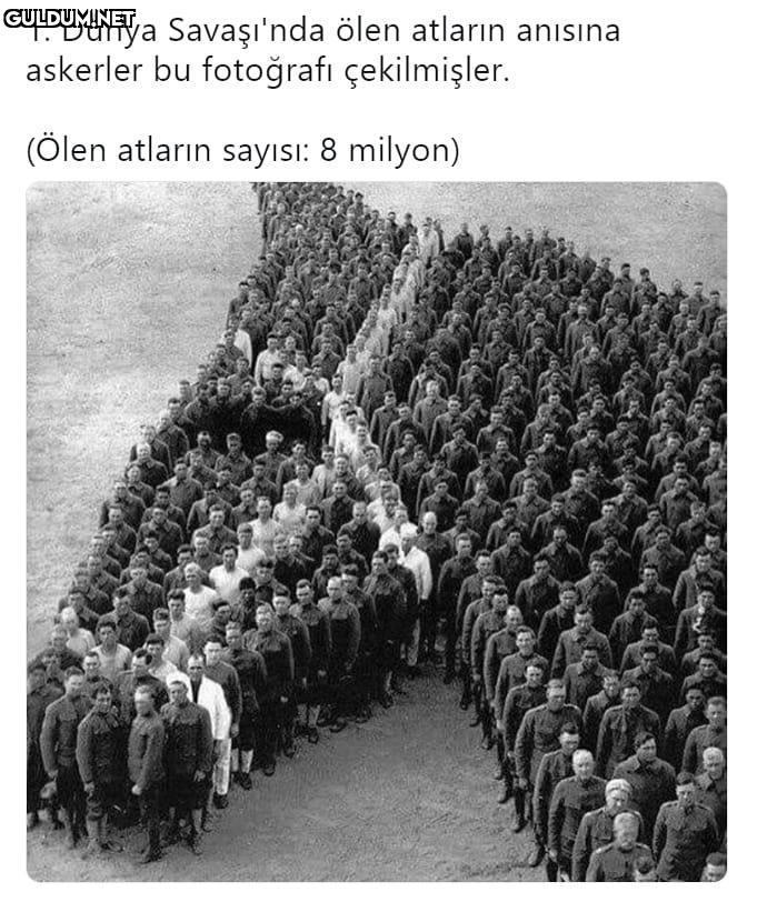 1. Dünya Savaşı'nda ölen...