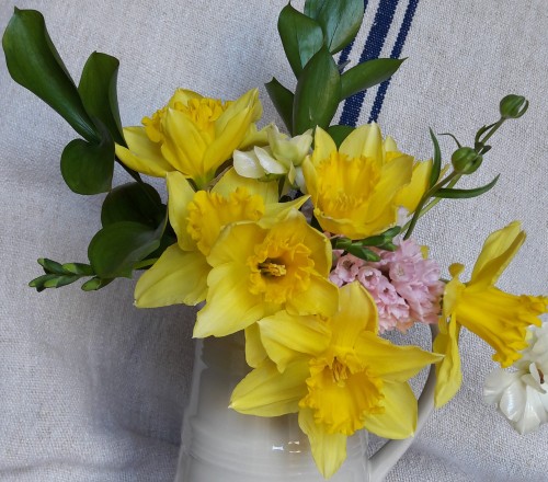 Gorgeous spring flowers from my son, for Mother’s Day (AC22/3)