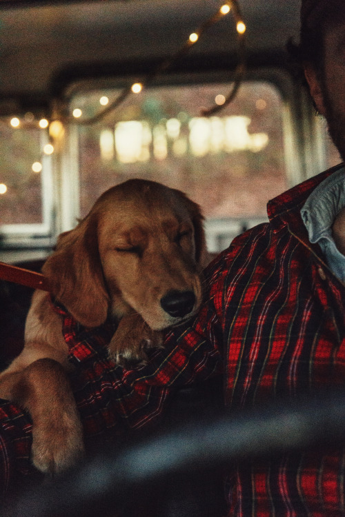 kieljamespatrick: Flandana for your pet and matching Cozy Cabin Flannel for you