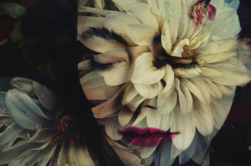 nevver: Camera obscura, Lara Kiosses