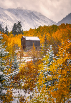 travelingcolors:  Fall in Ashcroft | Colorado