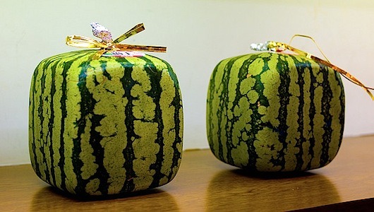 Square watermelons selling for $860 each in Moscow
Nouveau riche Russians are rushing to buy the cubic curios from Japan.