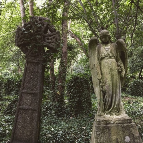 moonandserpent: Highgate Cemetery, London, 2017.  © Moon and Serpent