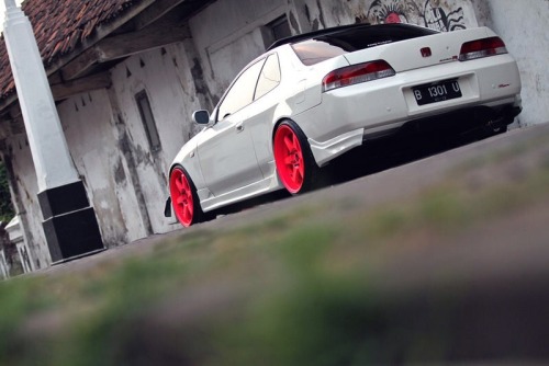 deividbersta:  White collection