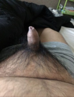 asian chub