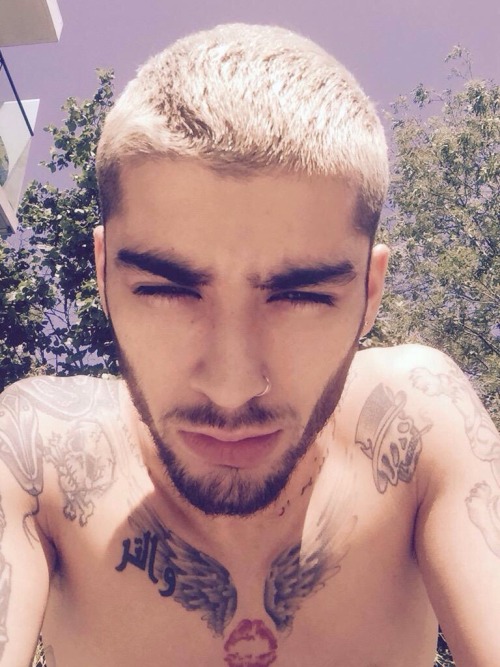 whitehairzayn:  iconic