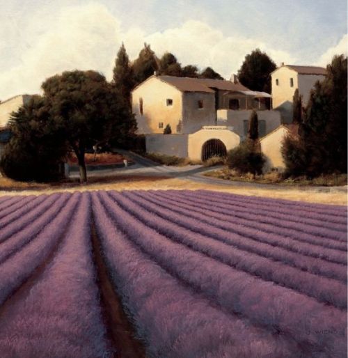 Lavender Fields II Crop by James Wiens