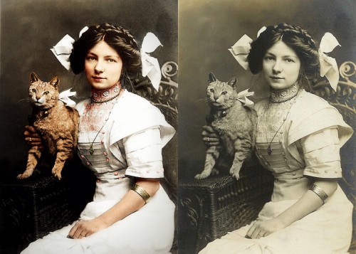 Edwardian girl with her cat. dorothy-zbornak, she looks kinda like you!