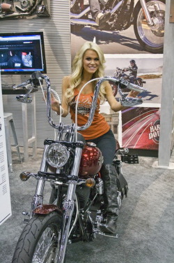 biker-queens:  Biker Queen