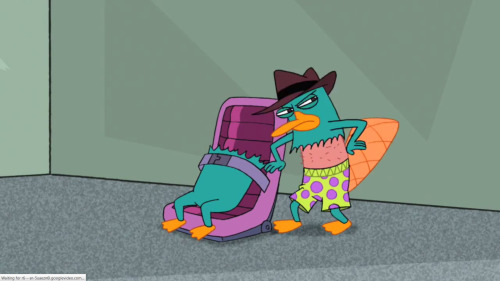 XXX Perry the Platypus from Phineas and Ferb photo