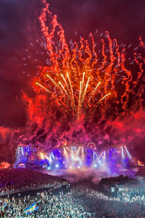 edmvibe - Tomorrowland 2014