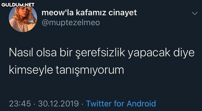 meow'la kafamız cinayet...