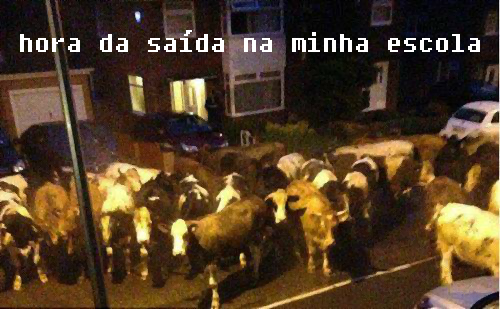 Posts aleatórios, caguei!