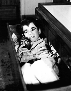 vintagegal:  Butch Patrick as Eddie Munster