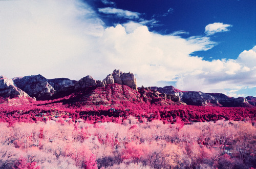 The Great American Southwest - Sedona, Arizona (December 2014) Kodak Ektachrome Infrared (EIR)