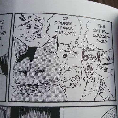 URINE?! Well, I NEVER!#catpiss #litterboxtime #junjiitoscatdiary #yonandmu #junjiito #manga https: