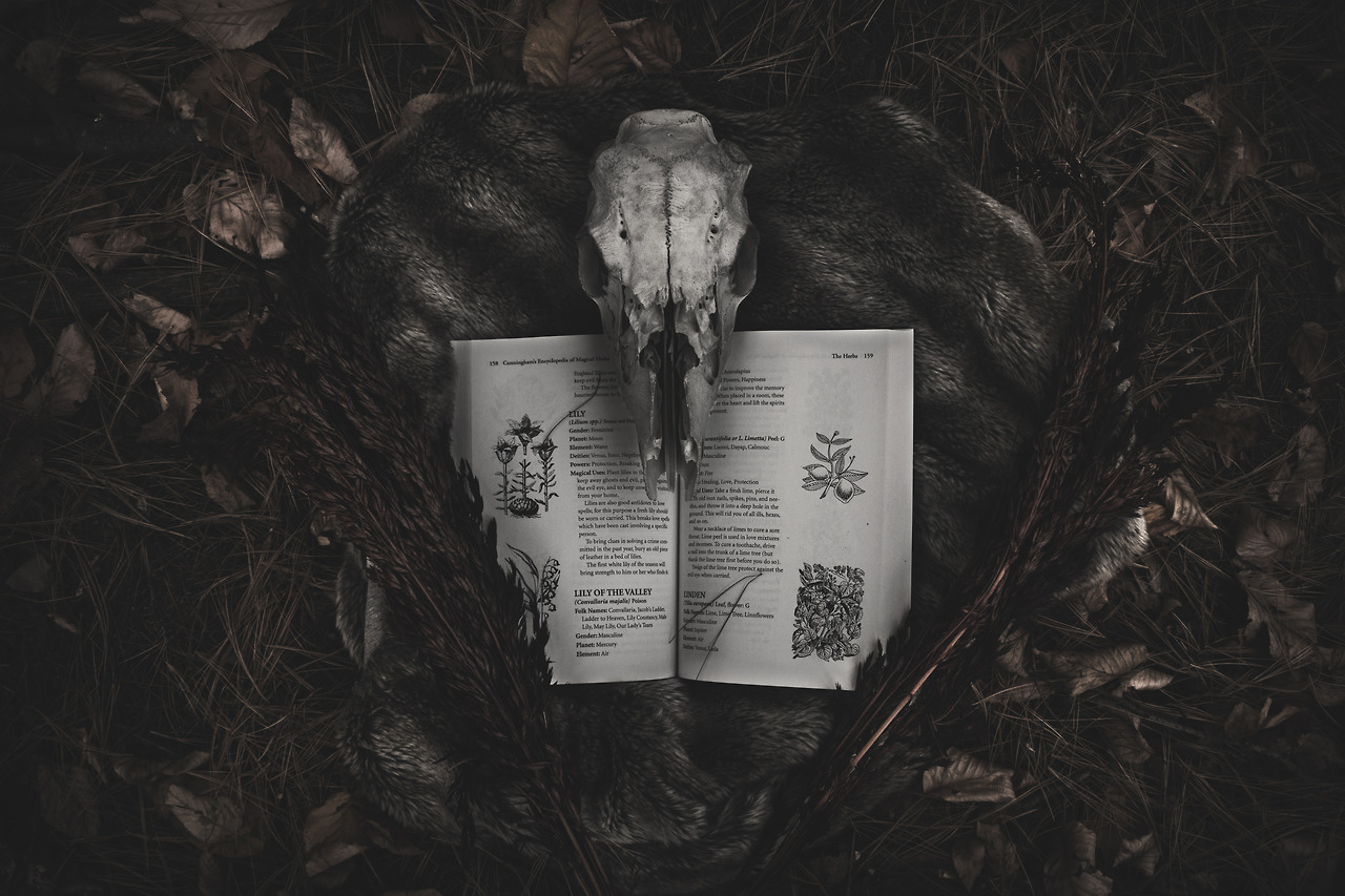 mazokhist: Witch’s Study flickr | instagram | facebook 